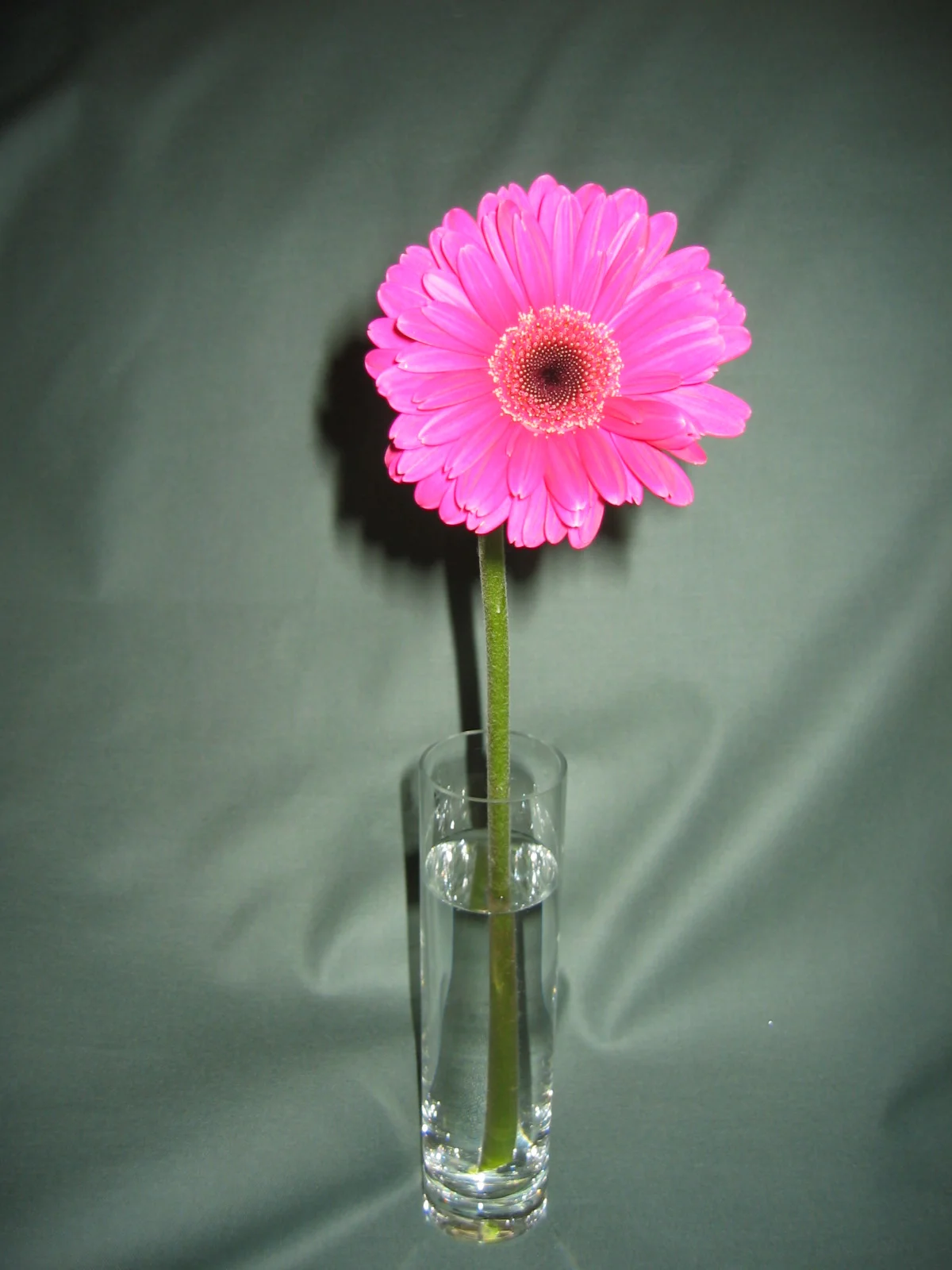 pink-flower.jpg