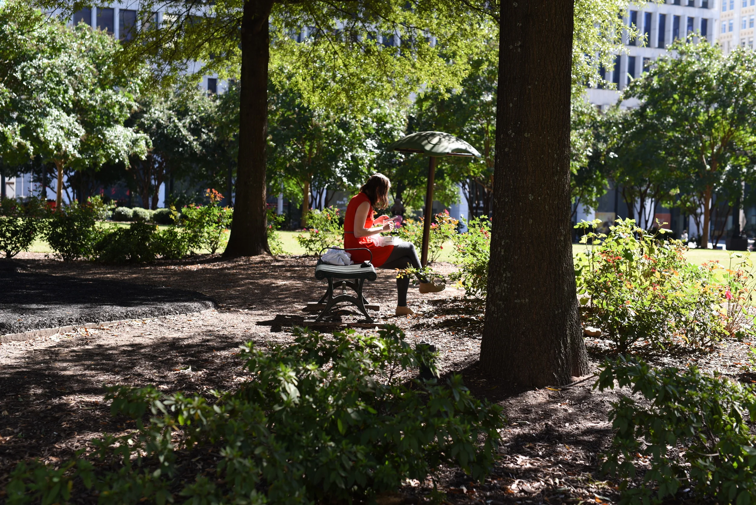 This scene reminds of me of "Alice in Wonderland".