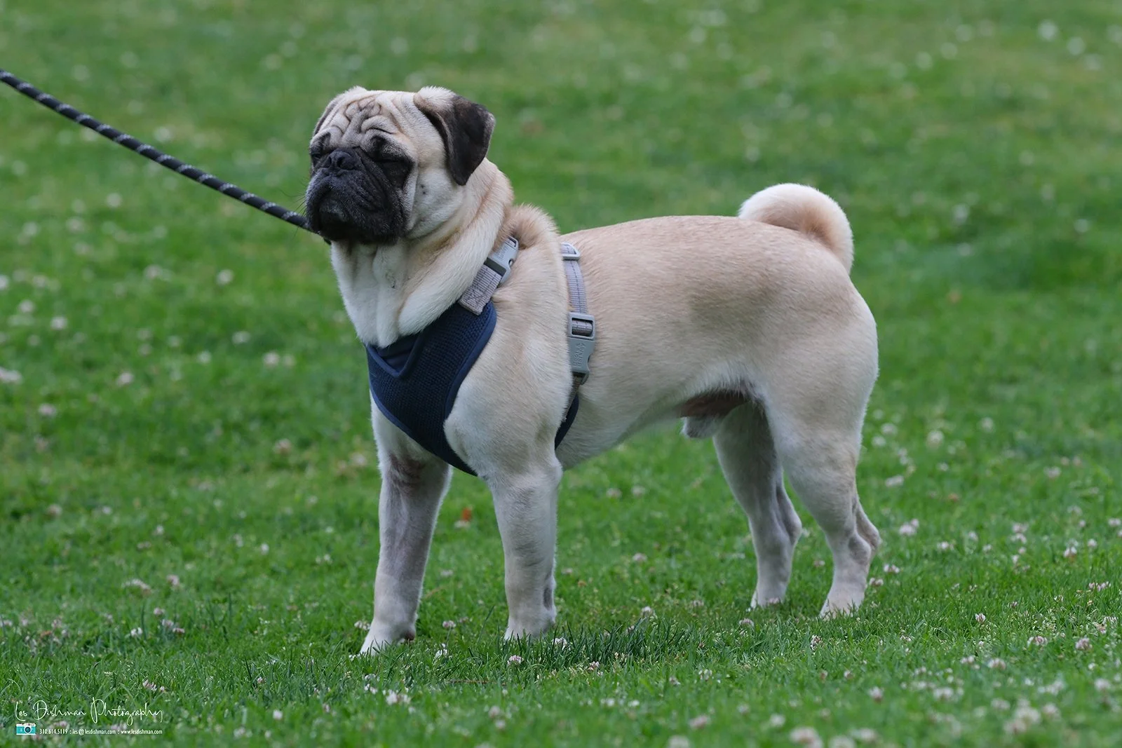 RNPH-NAMI HoopLA 2024-7.JPG