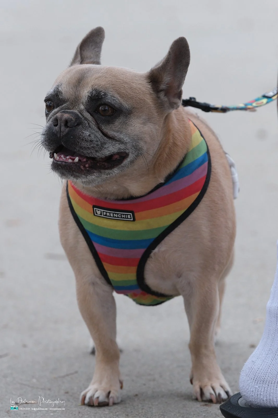 RNPH-NAMI HoopLA 2024-10.JPG