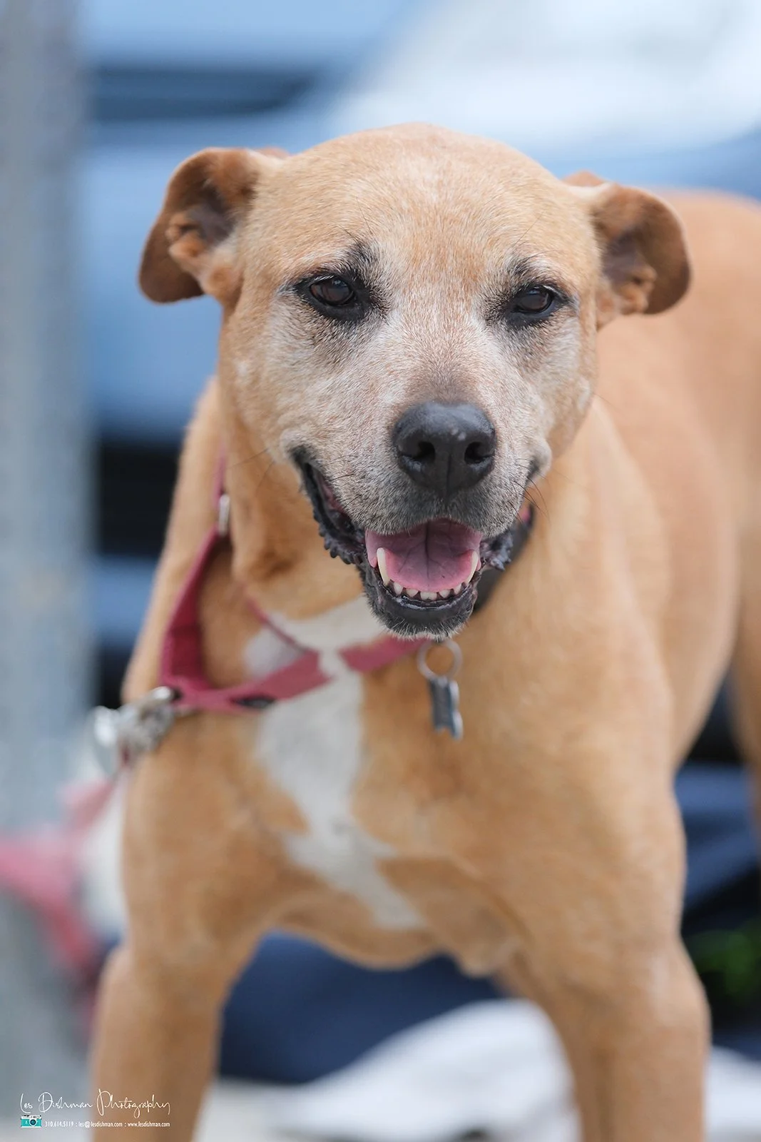 RNPH-NAMI HoopLA 2024-73.JPG