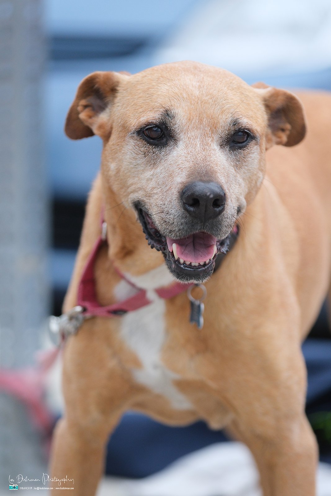 RNPH-NAMI HoopLA 2024-74.JPG