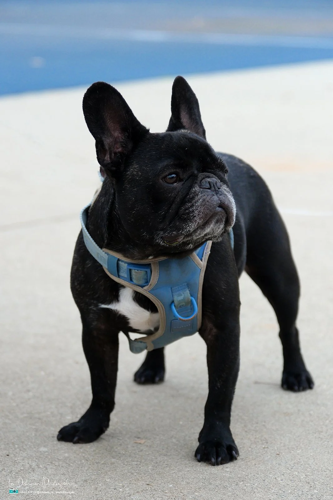 RNPH-NAMI HoopLA 2024-150.JPG