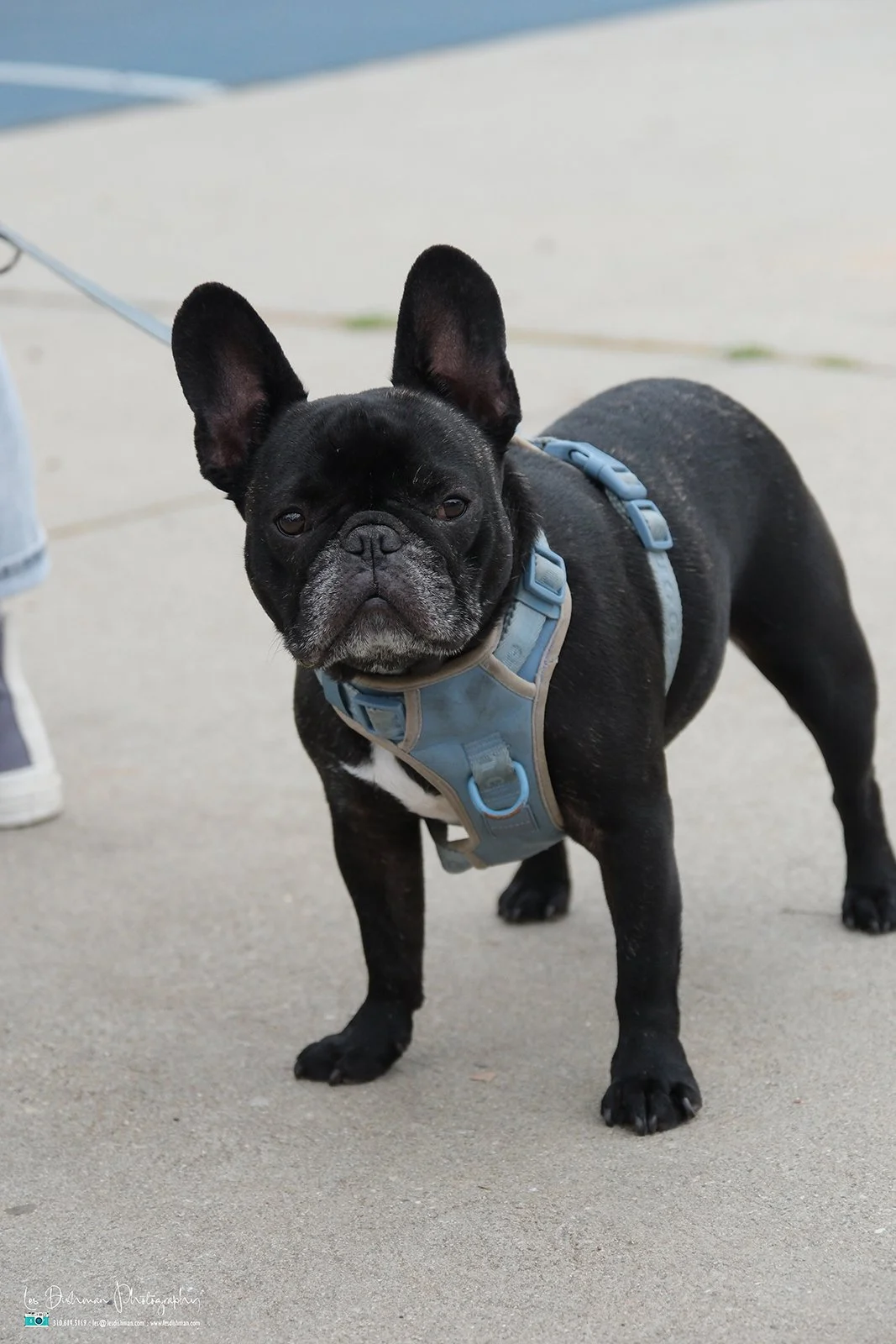 RNPH-NAMI HoopLA 2024-152.JPG