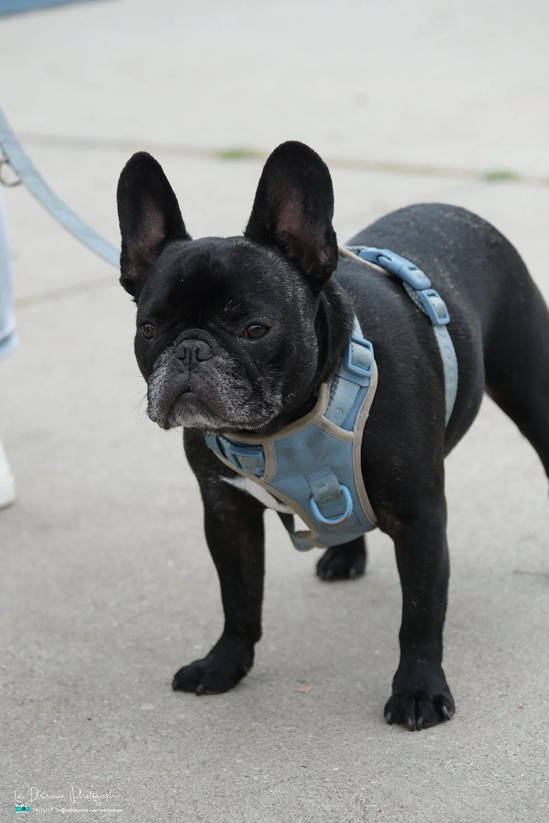 RNPH-NAMI HoopLA 2024-153.JPG