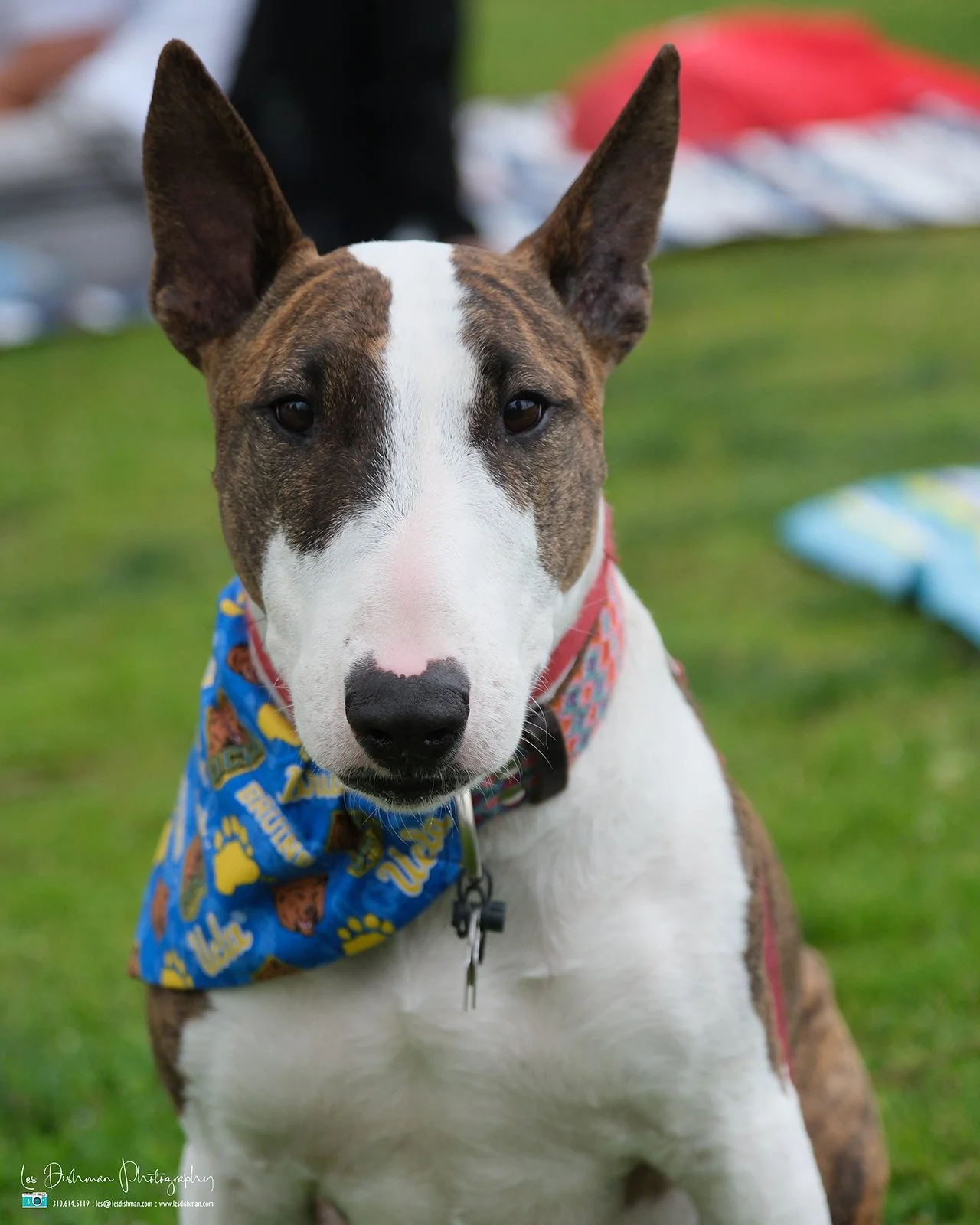 RNPH-NAMI HoopLA 2024-175.JPG