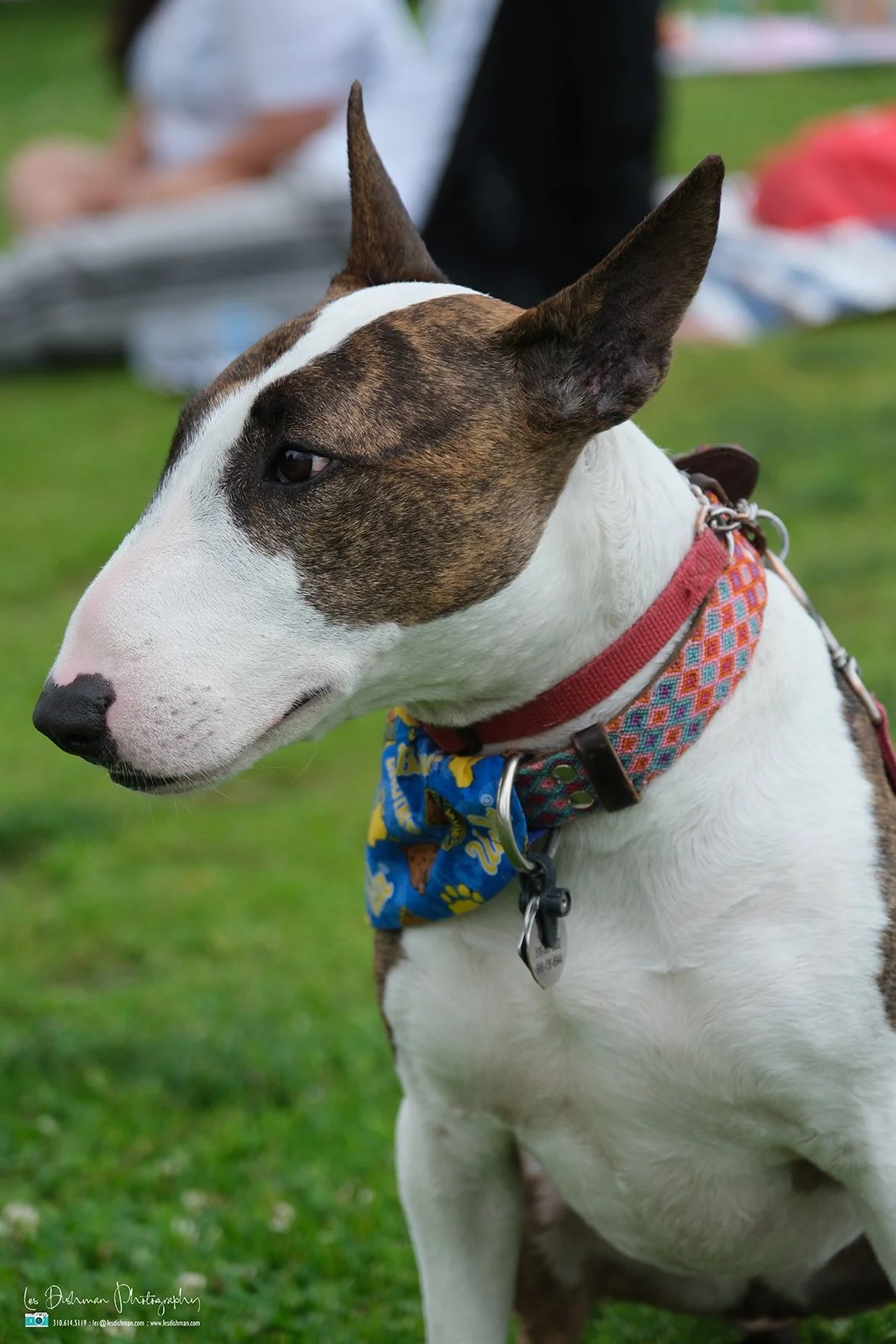 RNPH-NAMI HoopLA 2024-176.JPG