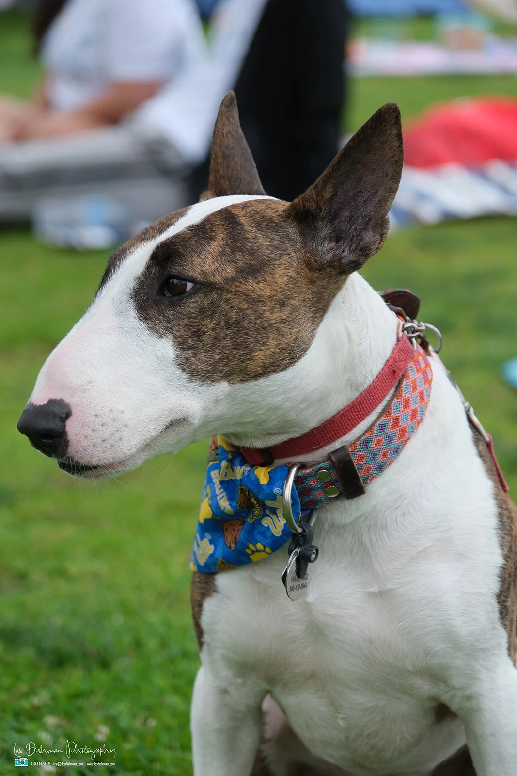 RNPH-NAMI HoopLA 2024-177.JPG