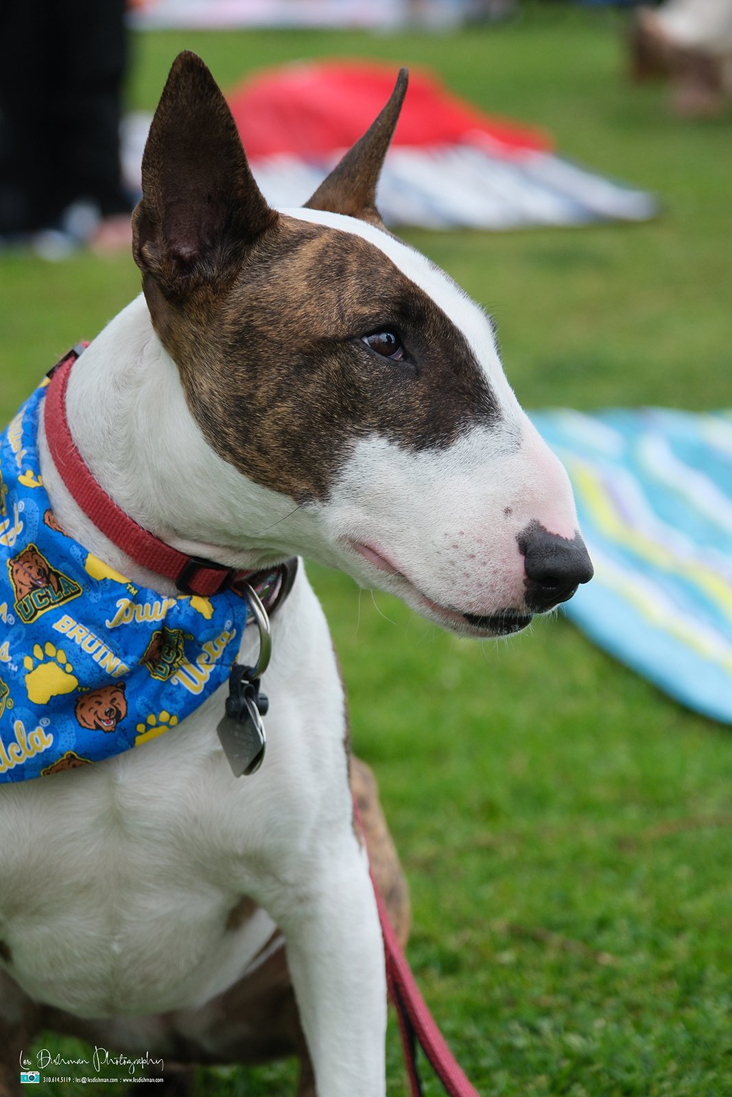 RNPH-NAMI HoopLA 2024-178.JPG