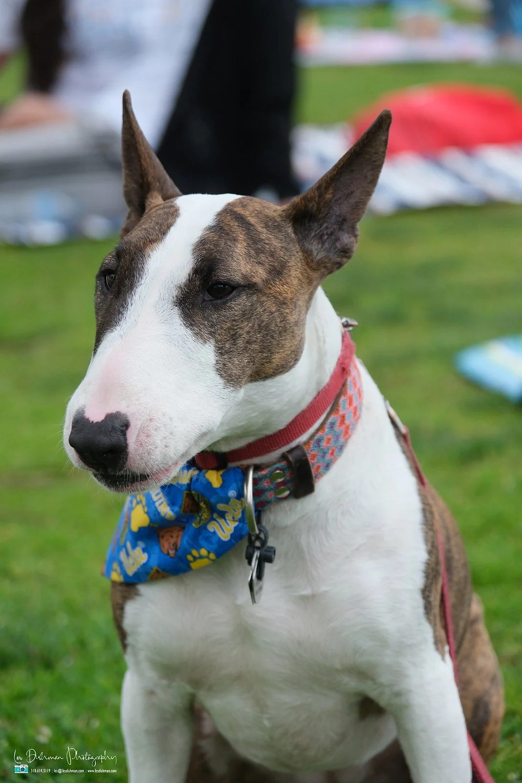 RNPH-NAMI HoopLA 2024-179.JPG