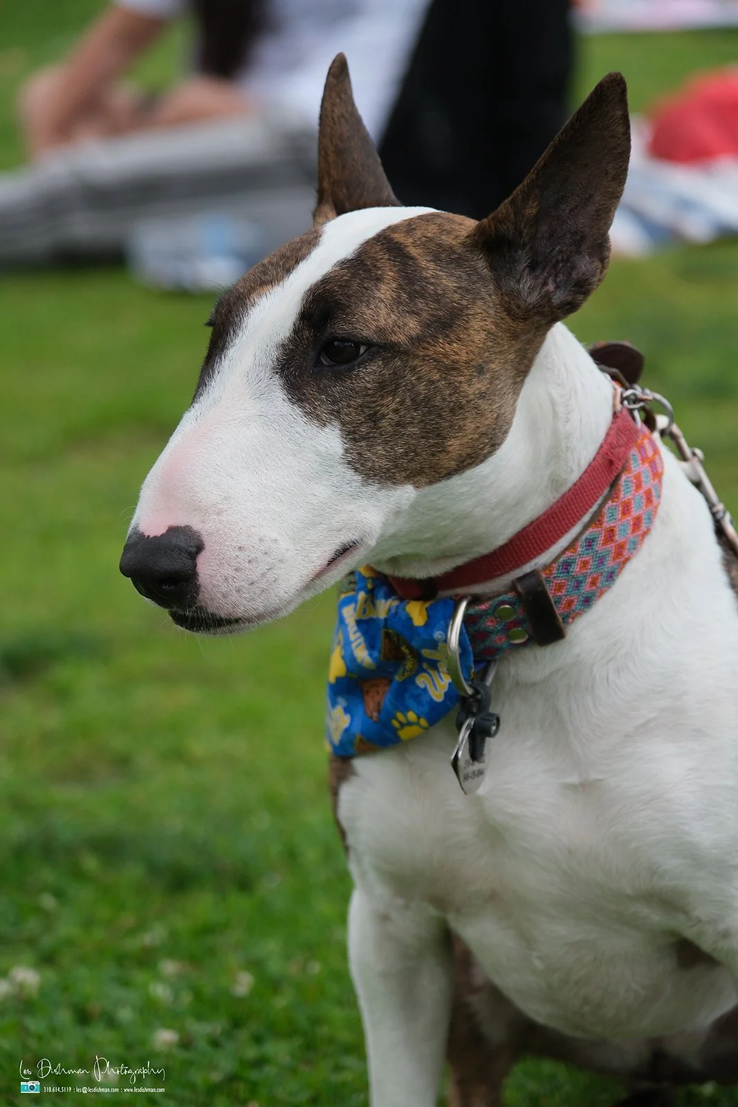 RNPH-NAMI HoopLA 2024-180.JPG