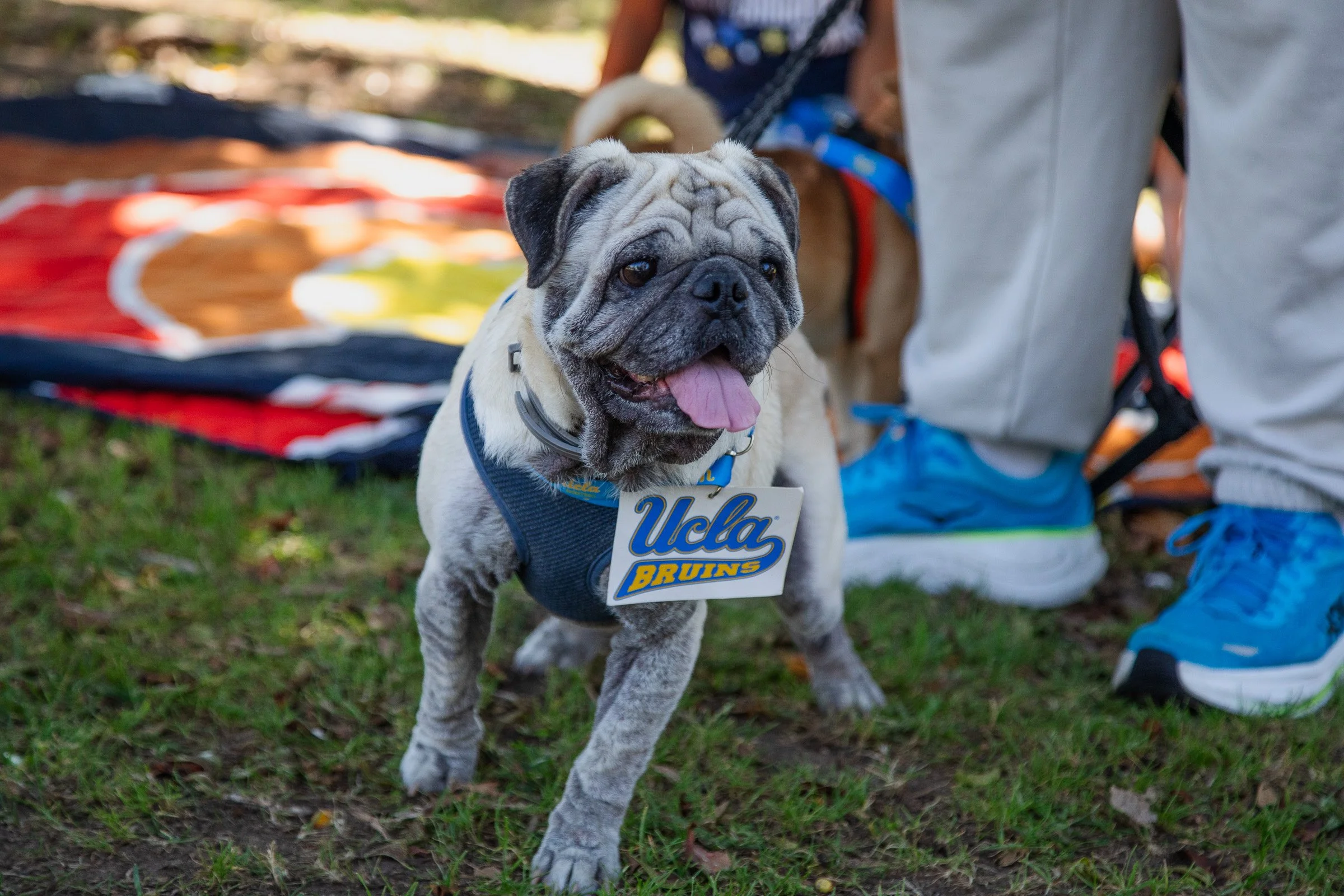 resnick-nami-walkwagwellness-sep-2026 (96).JPG
