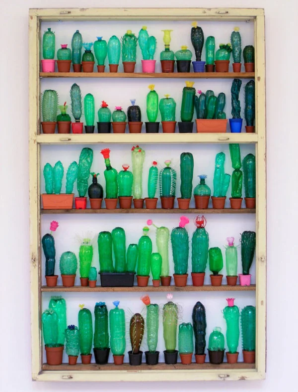 plastic bottle cacti
