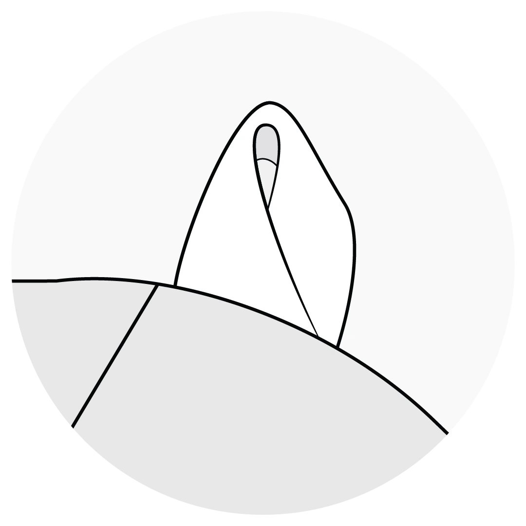 icon-animation.gif