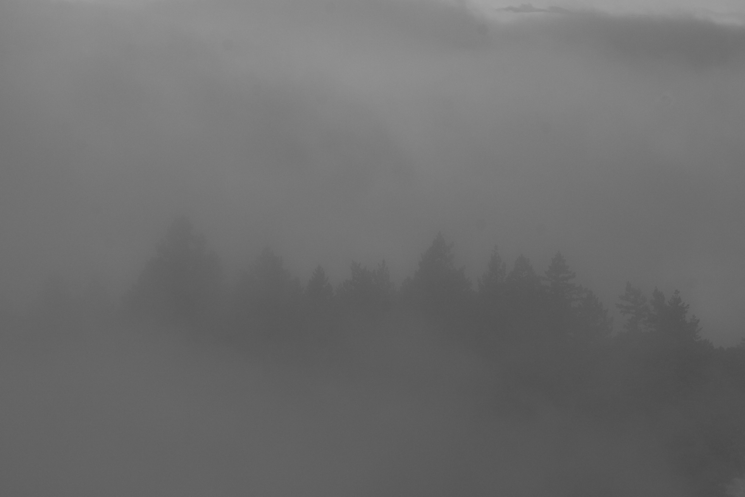 fogline_65.jpg