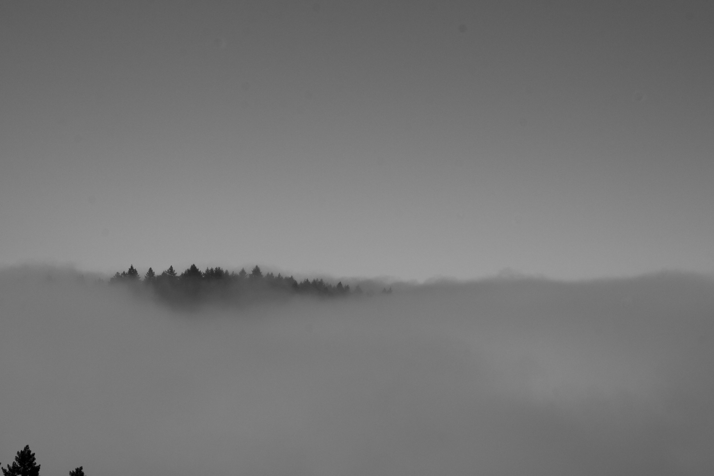 fogline_74.jpg