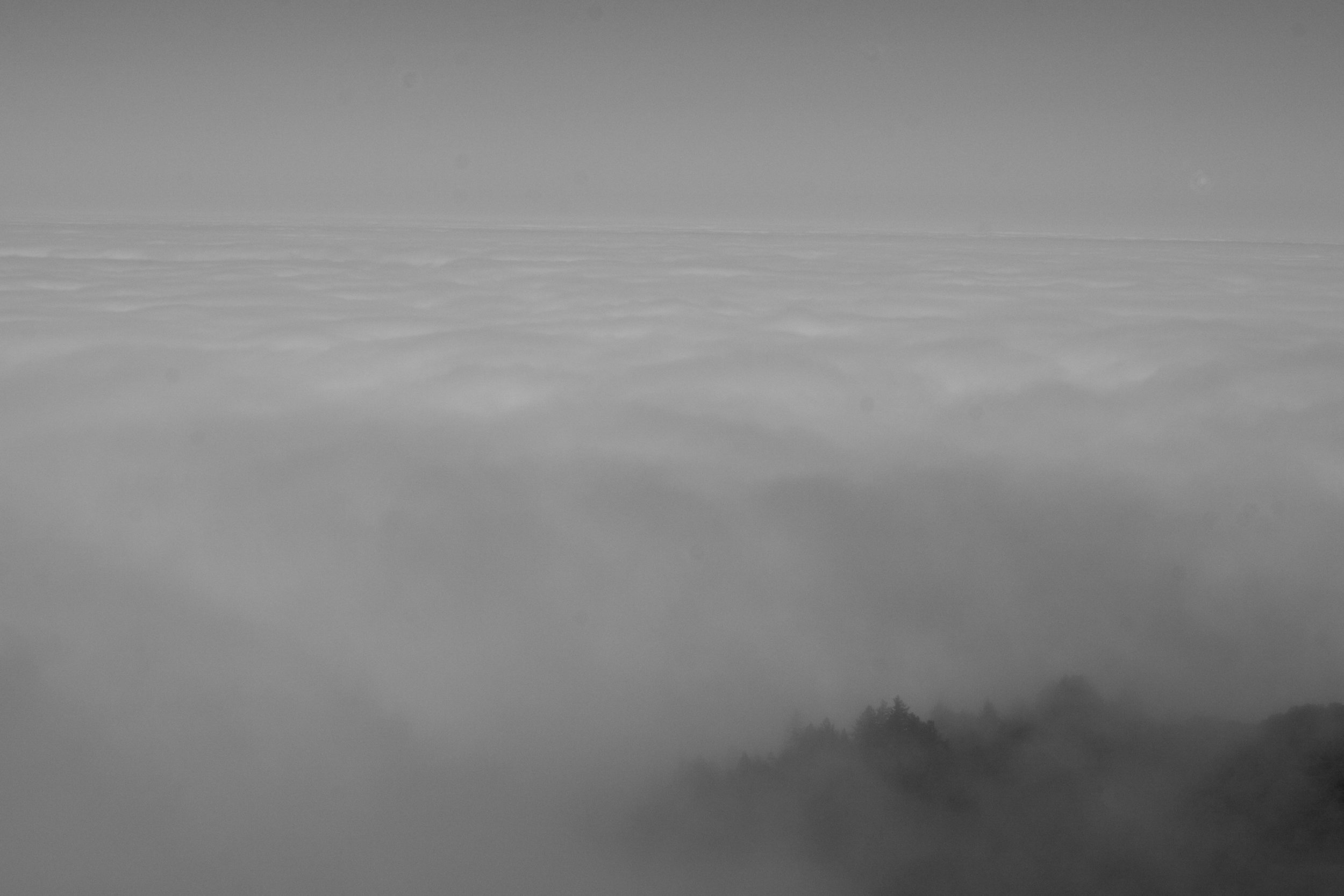 fogline_68.jpg