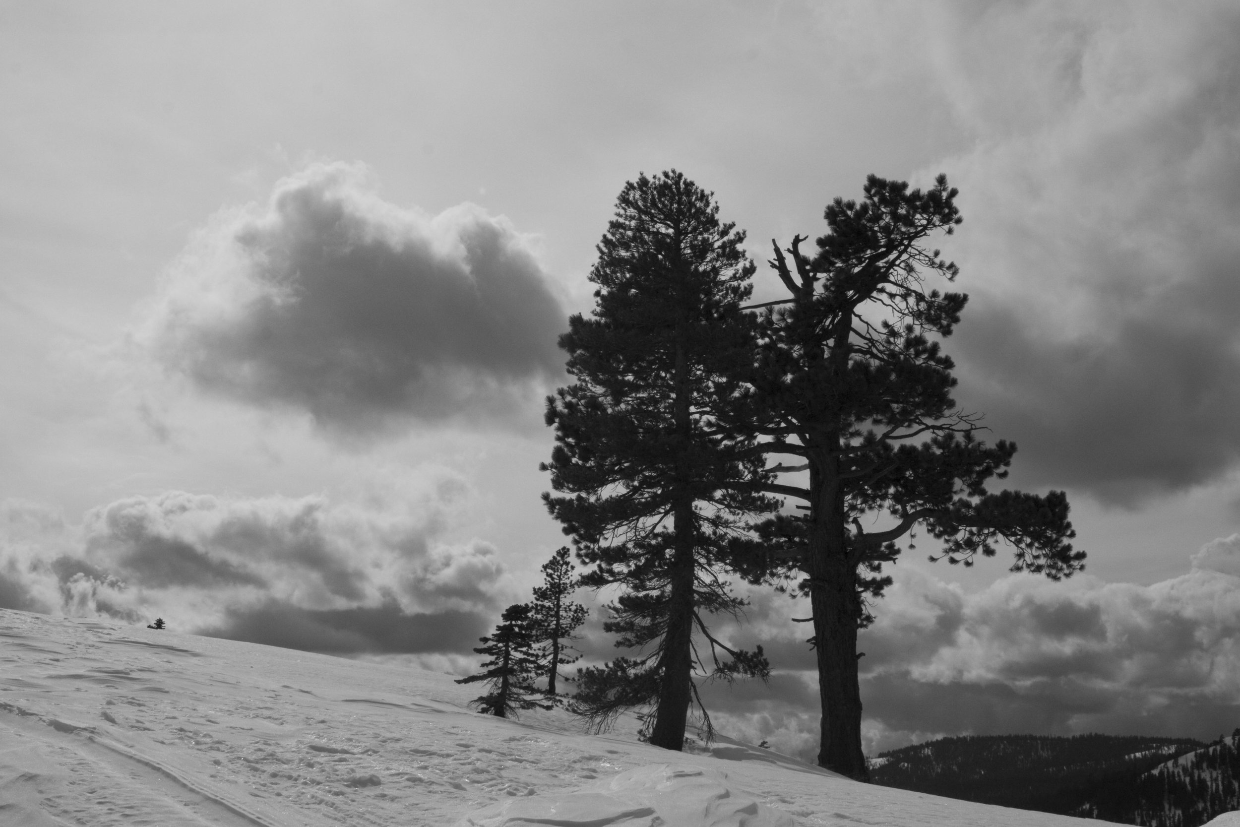 sierras 2012_28.jpg