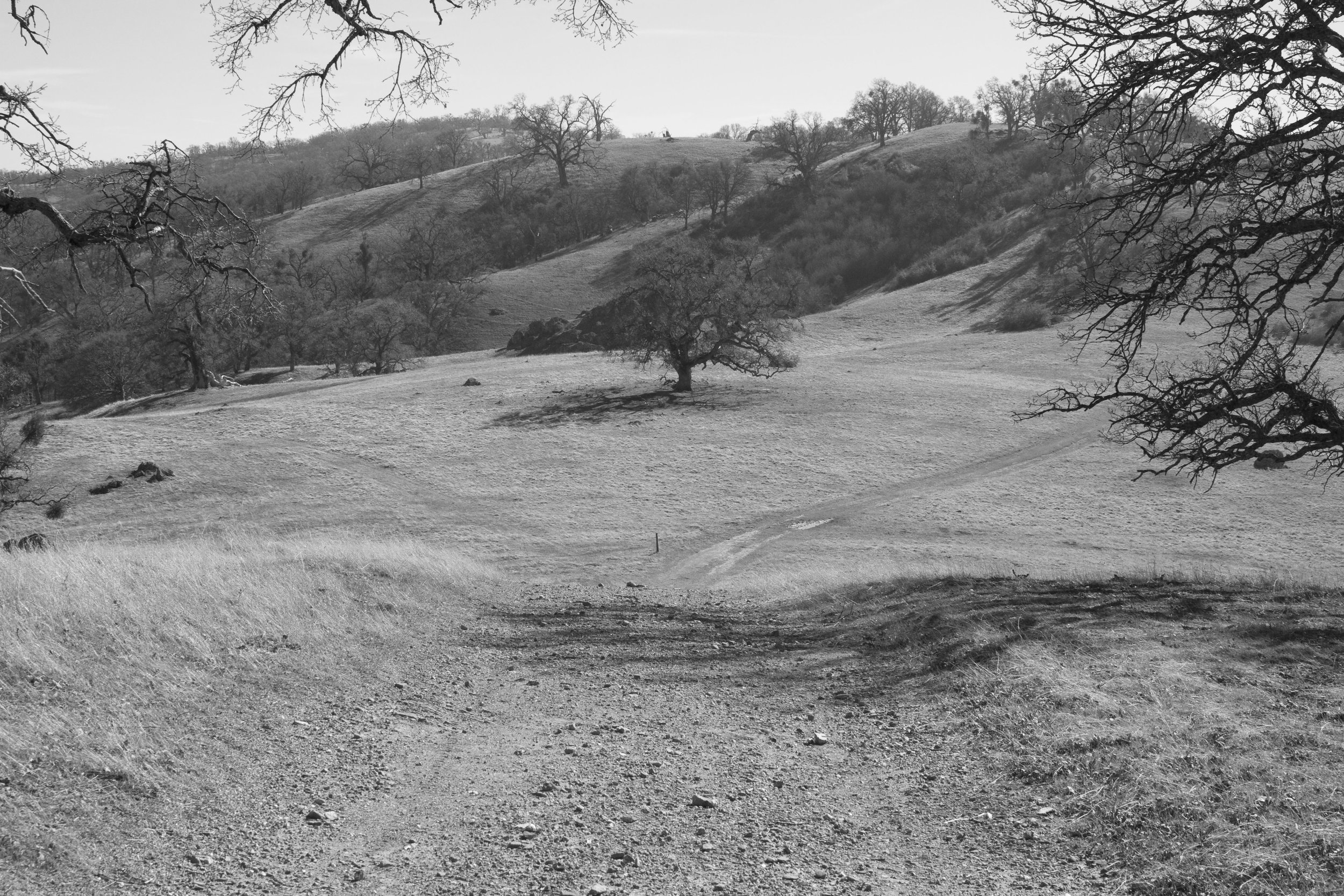 Henry W. CoeOhlone Wilderness_44.jpg