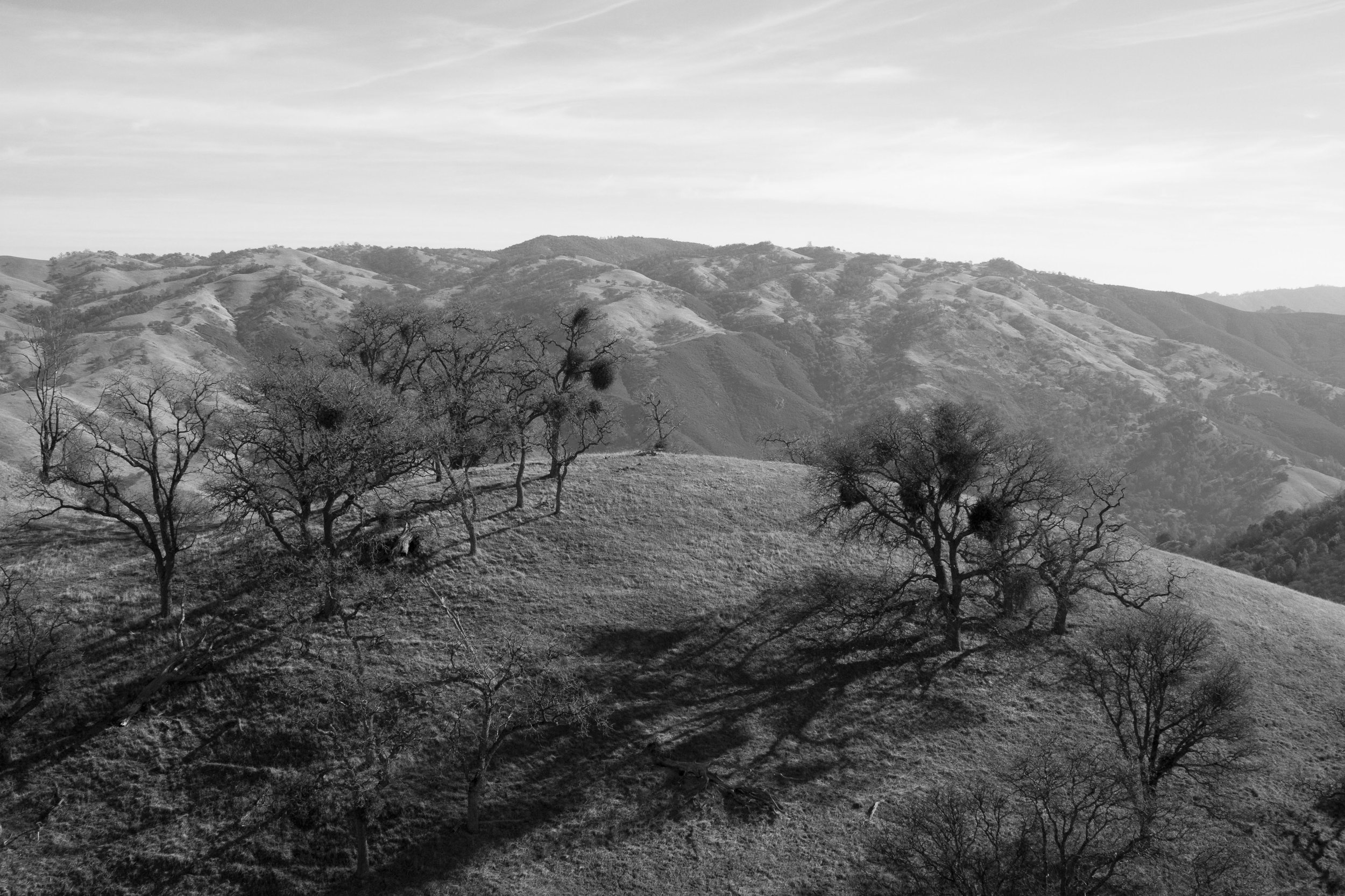 Henry W. CoeOhlone Wilderness_120.jpg