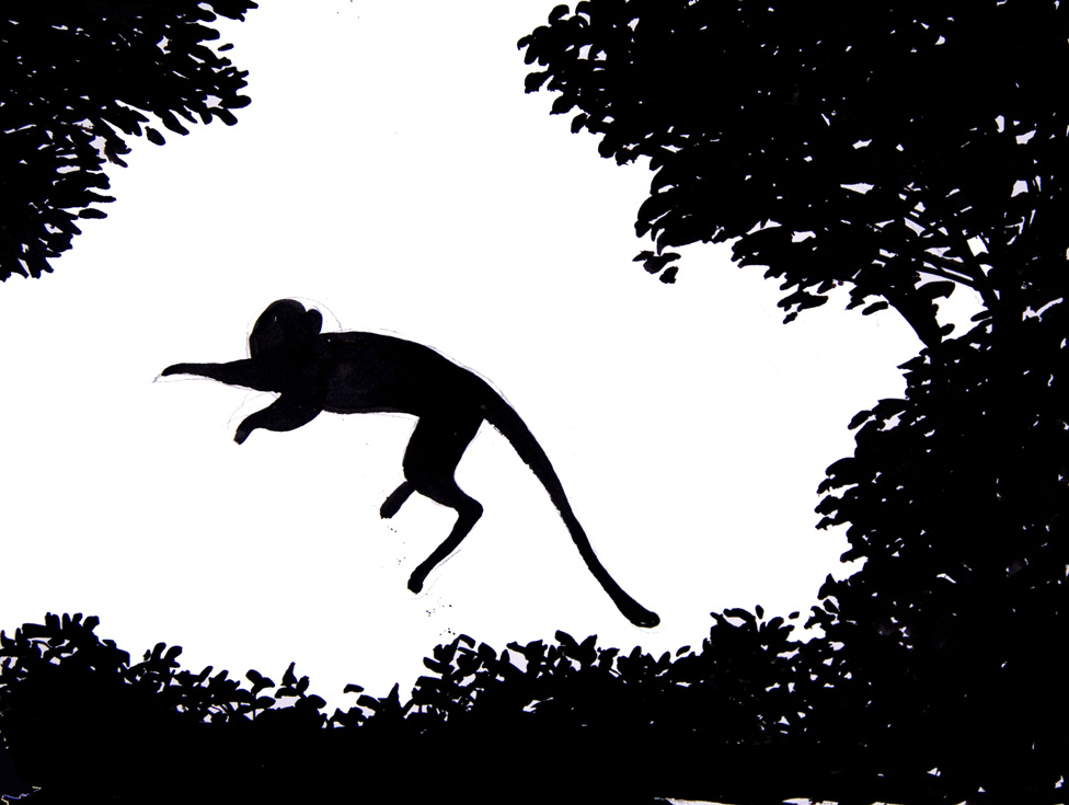 jumping monkey 72 .jpg