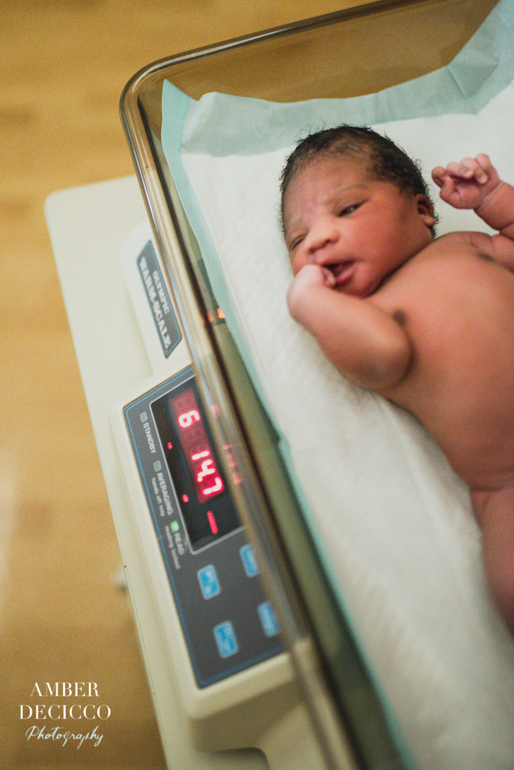 hawaii birth photography