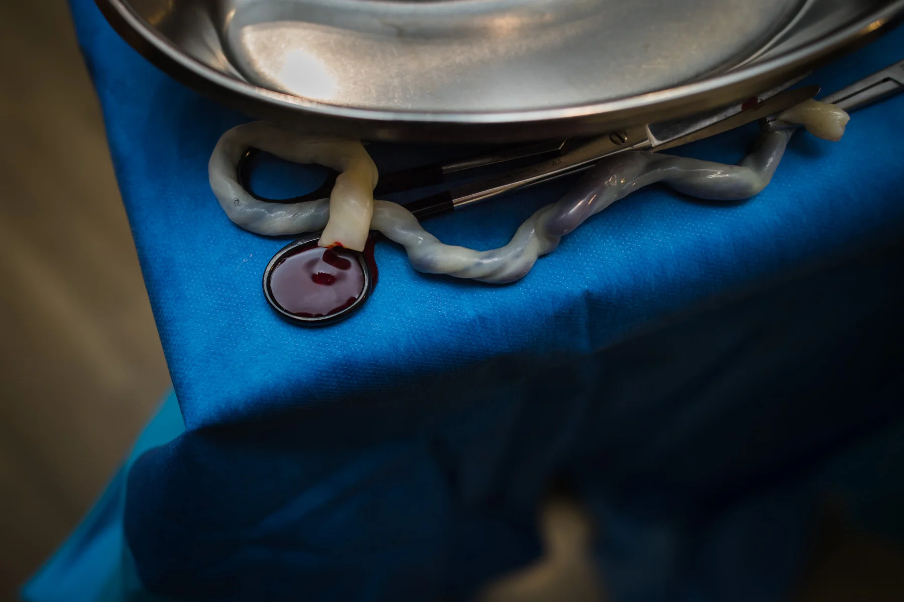 2019 Birth Her Image Contest — Birth Her Resources