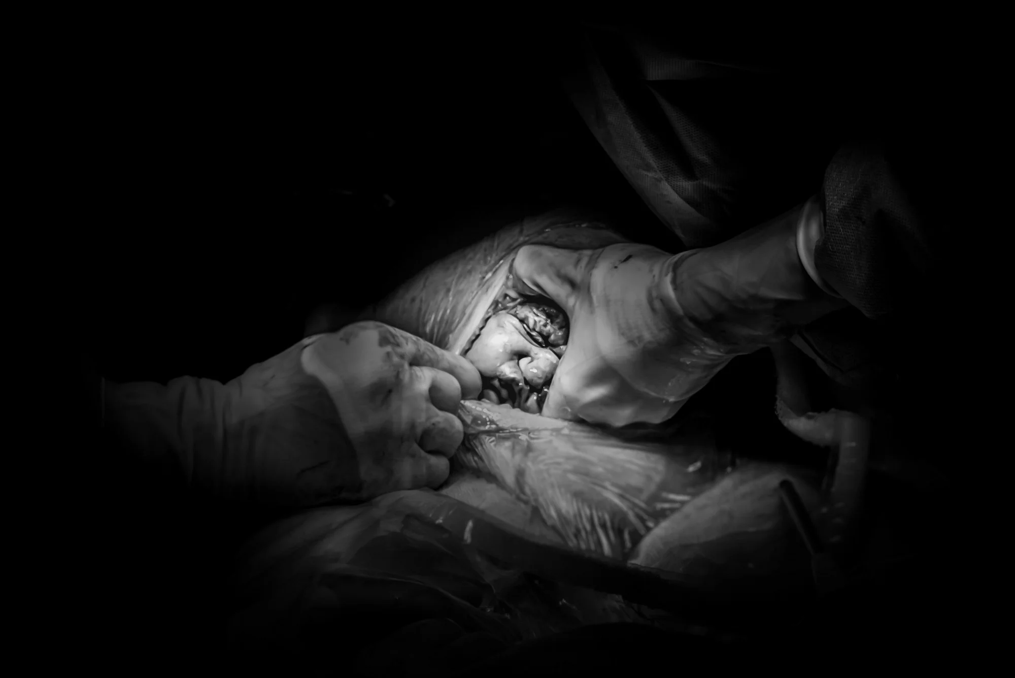 Renate van Lith Fotografie from the Netherlands