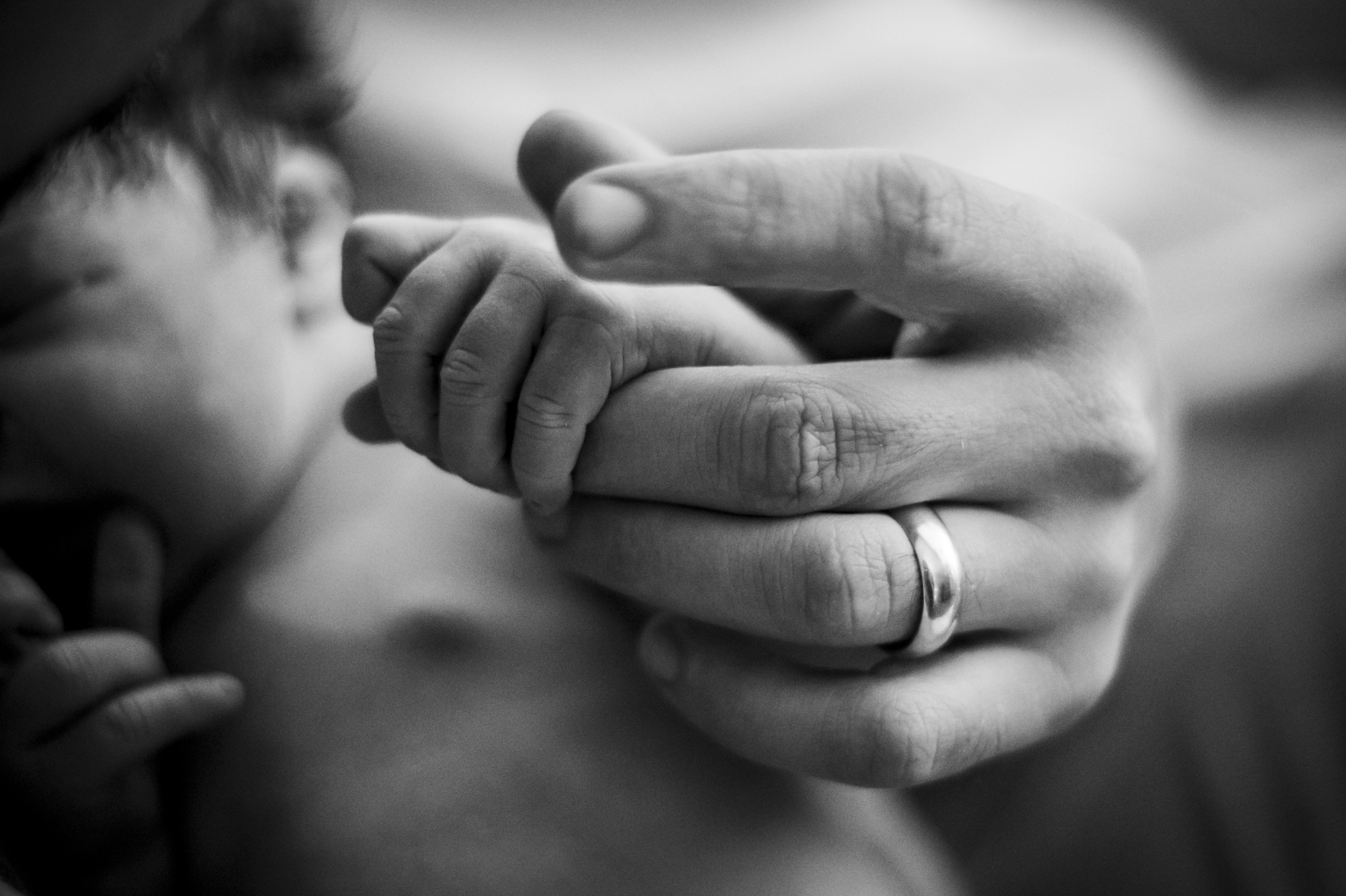 Four Element Photography