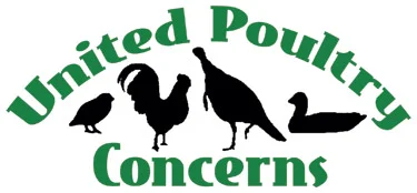 UNITED POULTRY CONCERNS "United Poultry Concerns is dedicated to the compassionate and respectful treatment of chickens, turkeys, ducks and other domestic fowl. We hold that the treatment of these birds in the areas of food production, science, education, entertainment, and humane companionship situations has a significant effect upon human, animal, and environmental welfare. We seek to make the public aware of the ways in which poultry are used, and to promote the benefits of a vegan diet and lifestyle."