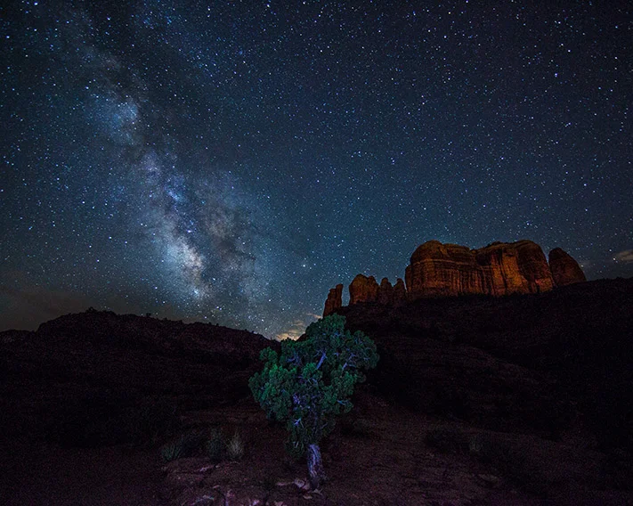 juniper8x10.jpg