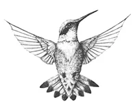logobwsmall.jpg