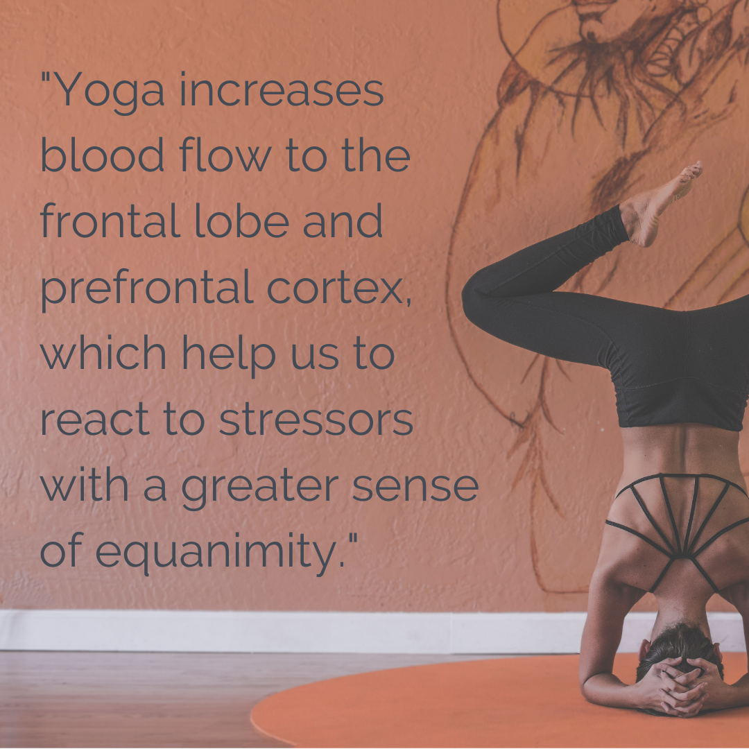 Copy of yoga decreases blood flow to the amygdala, the brain’s alarm center, and increases blood flow to the frontal lobe and prefrontal cortex, which help us to react to stressors with a greater sense of equanimit.png