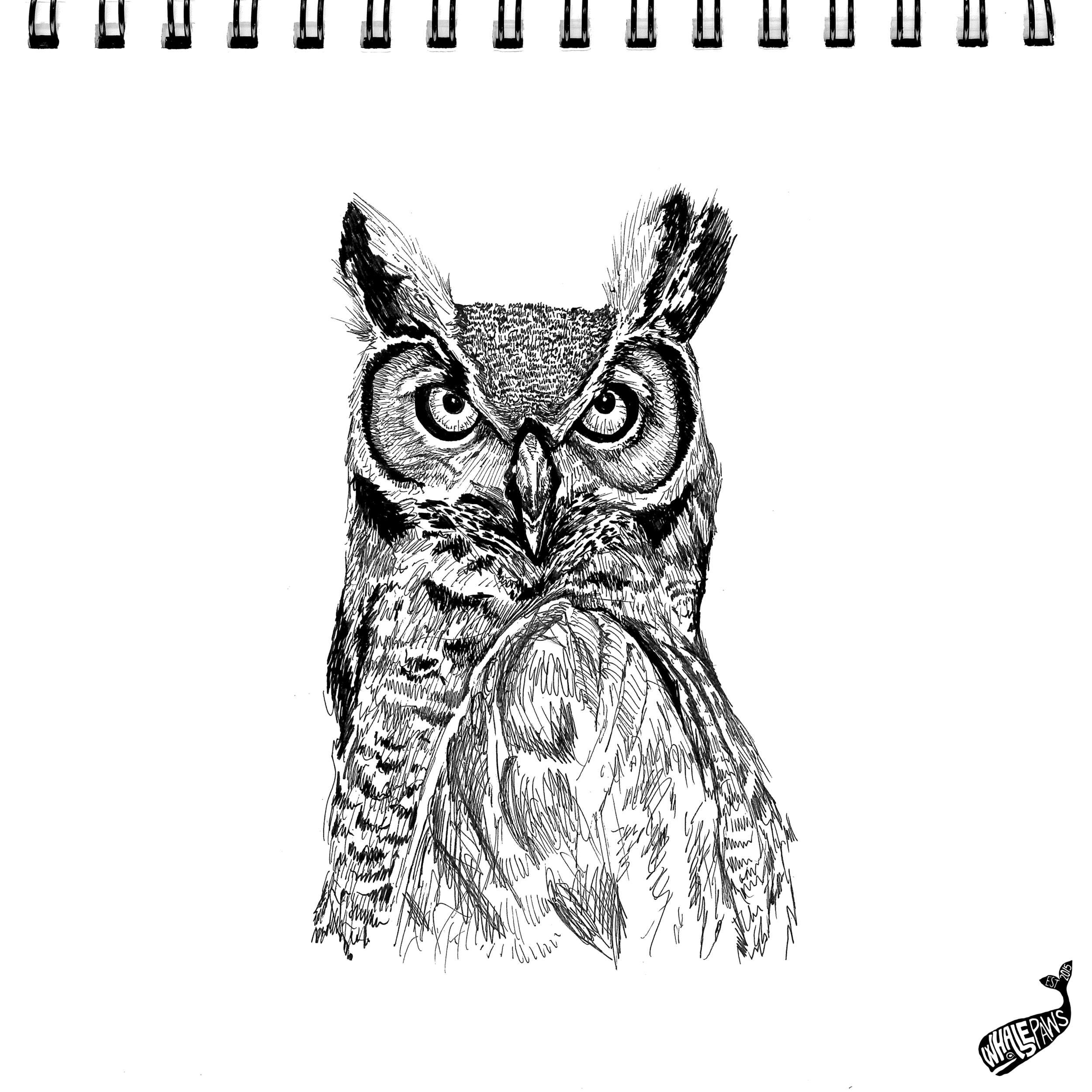 30-OWL.jpg