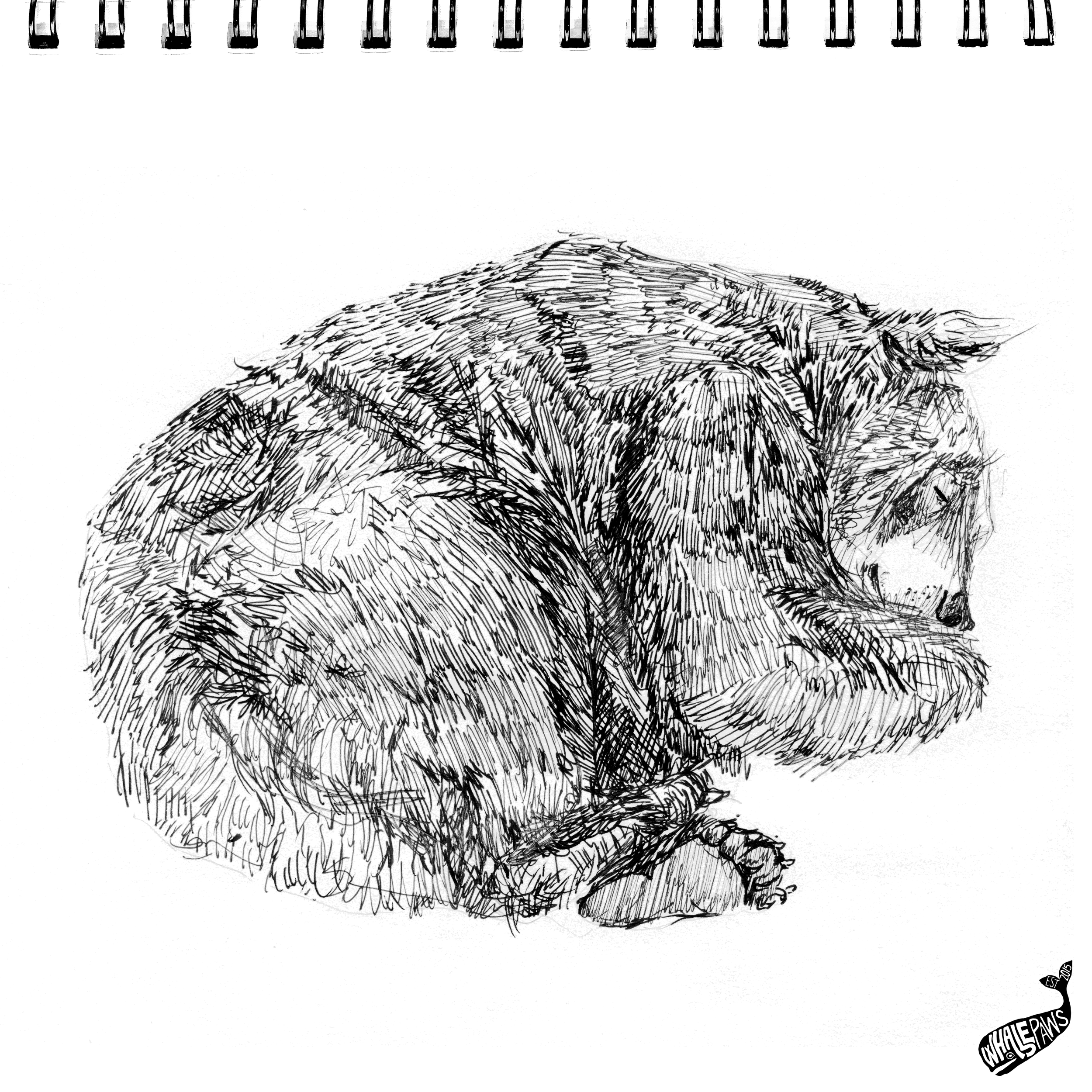 44-BEARSLEEPING-INKTOBER.png