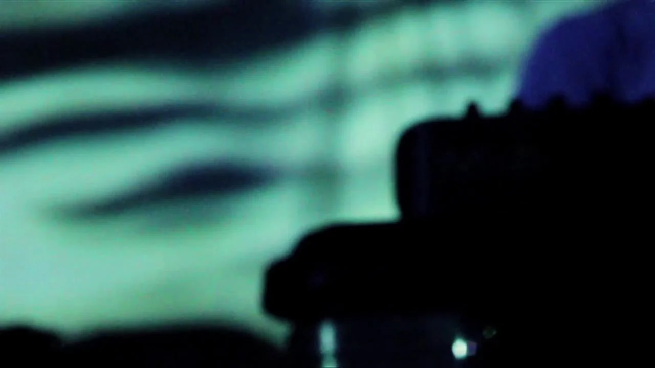 Arms and Sleepers / I Sing the Body Electric / The Afternoon Child / The Architekt / Here On Out Live