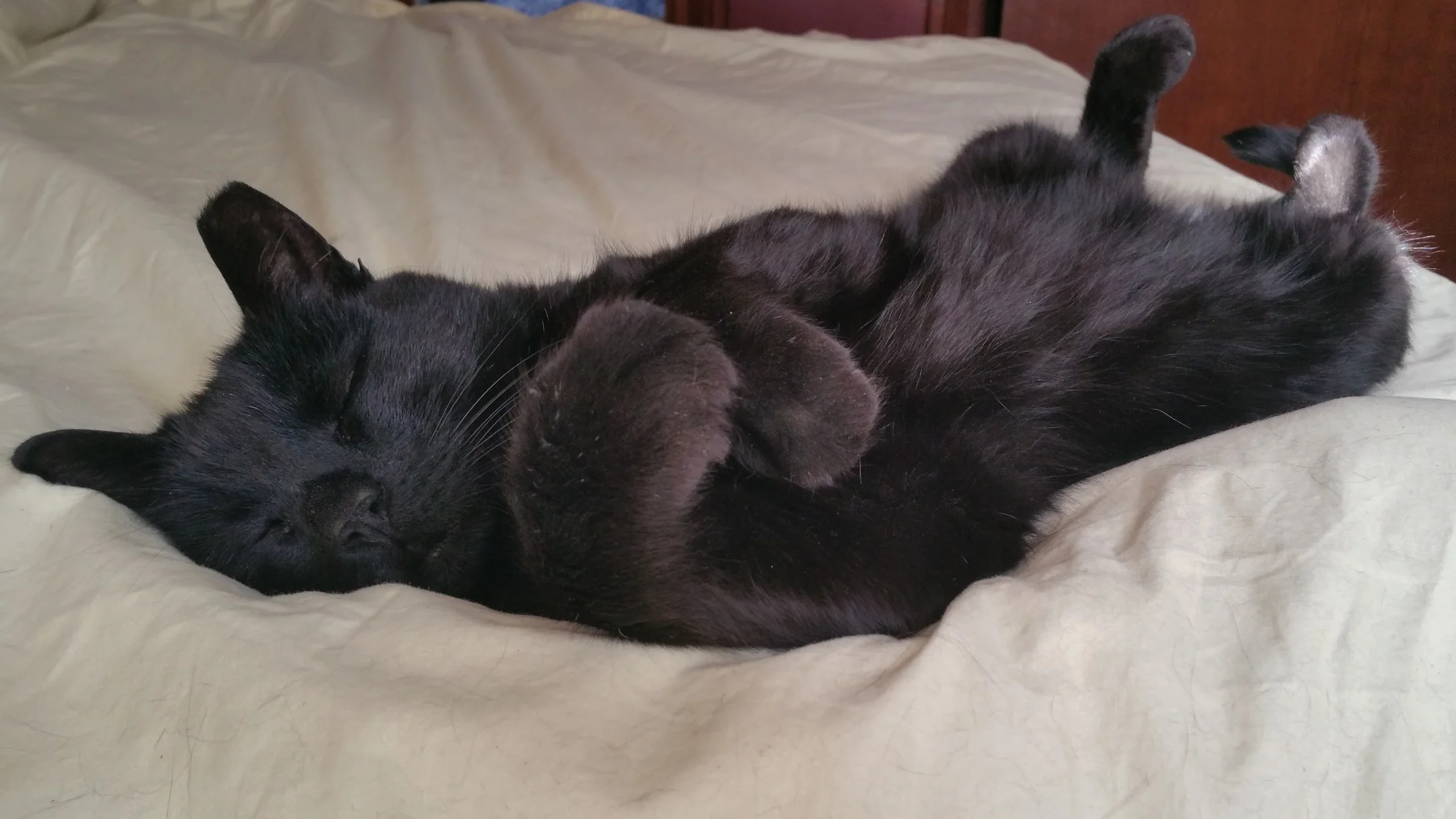 It's a Good Thing They're Cute