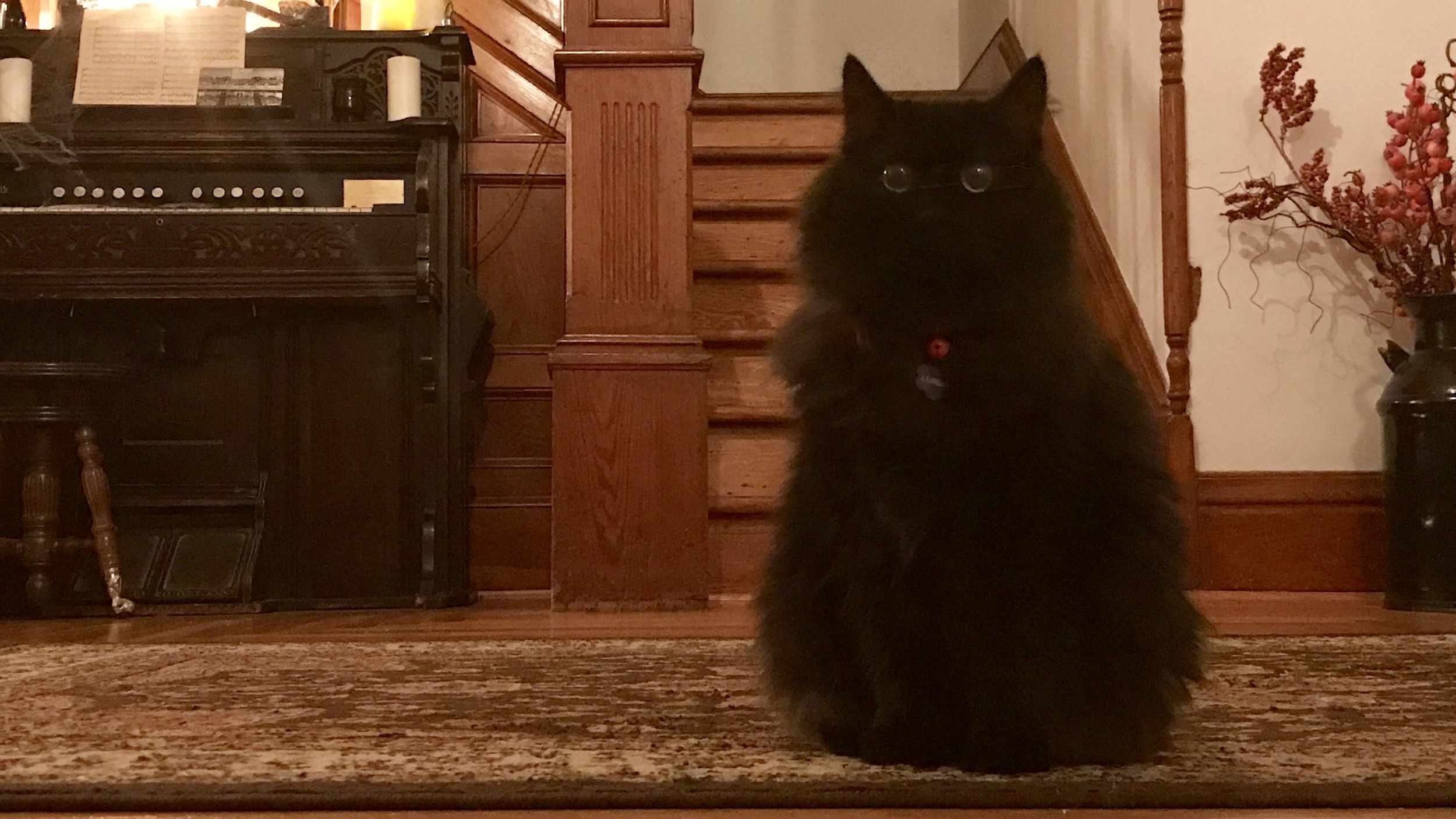 Get a Room! (March 13-19)