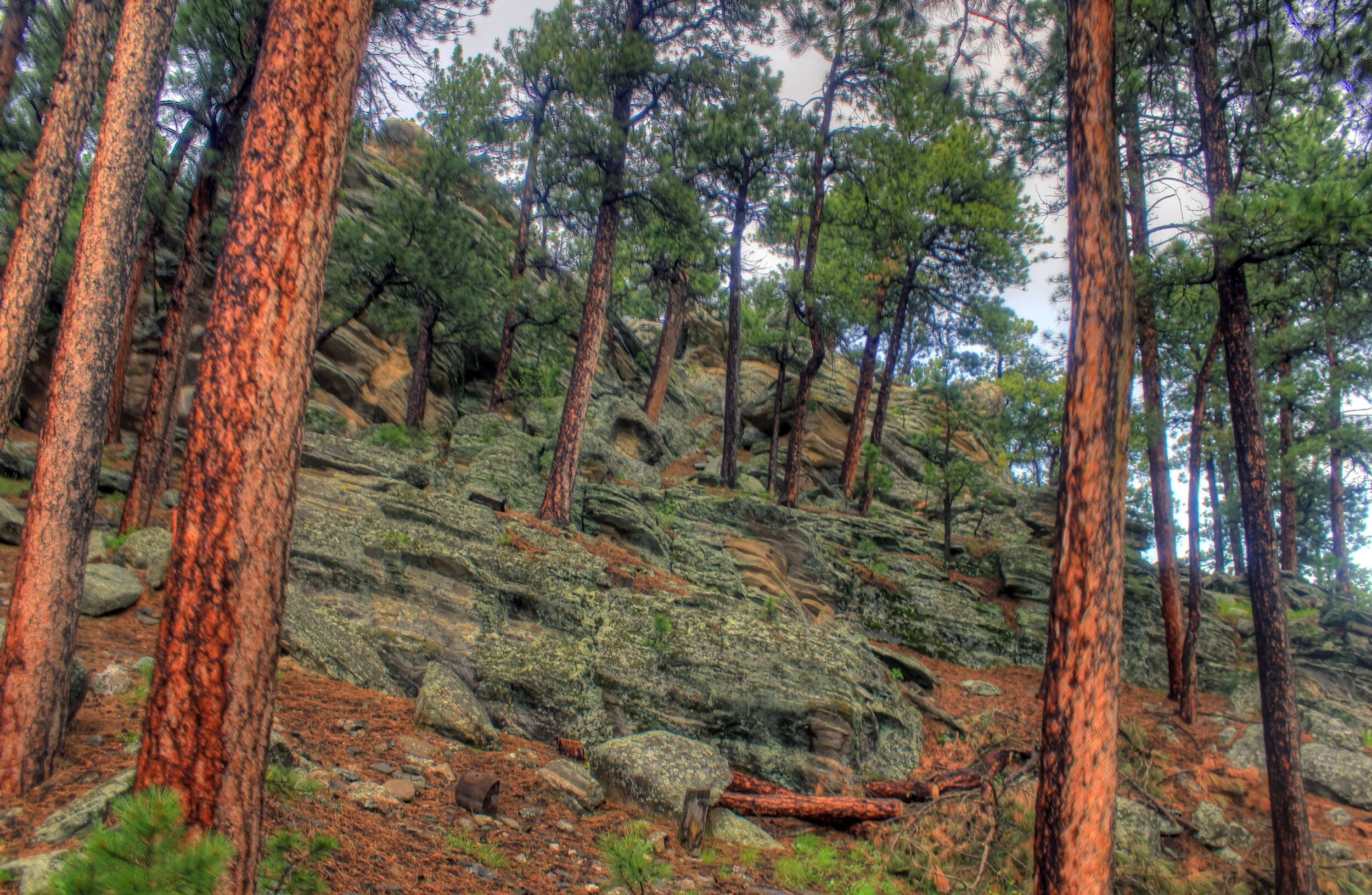 Why The Black Hills Are the Perfect Post-Coronavirus Travel Destination