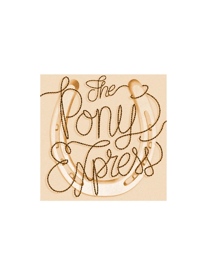 SquareSpace_2_100Illo2.jpg