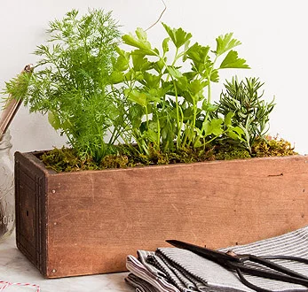 Herb Garden (Private Party)