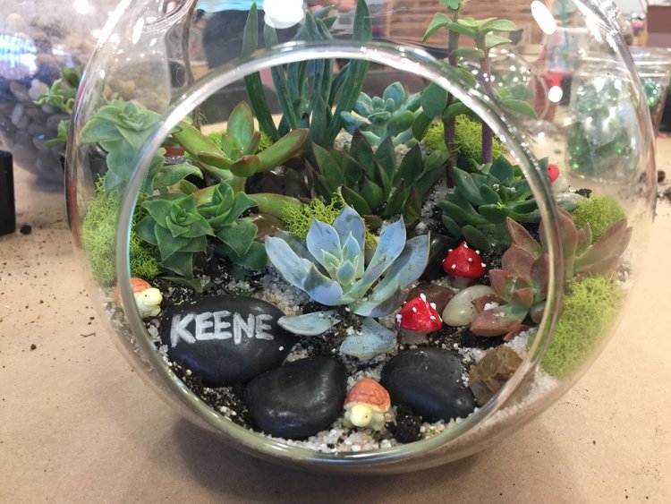 Large Terrarium $48