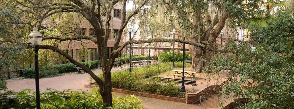 uf campus.jpg