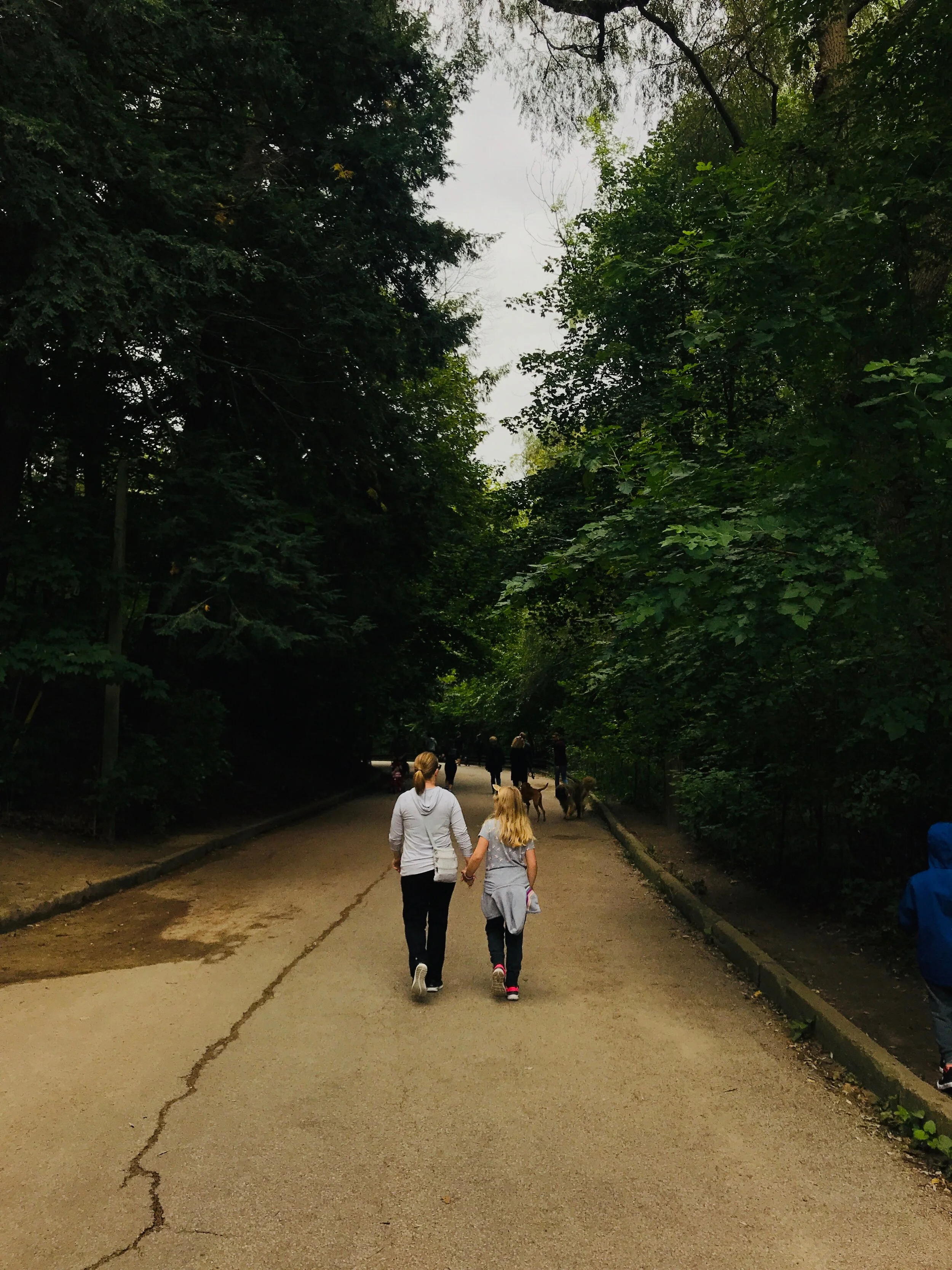 Ellen + Emma - High Park.jpeg