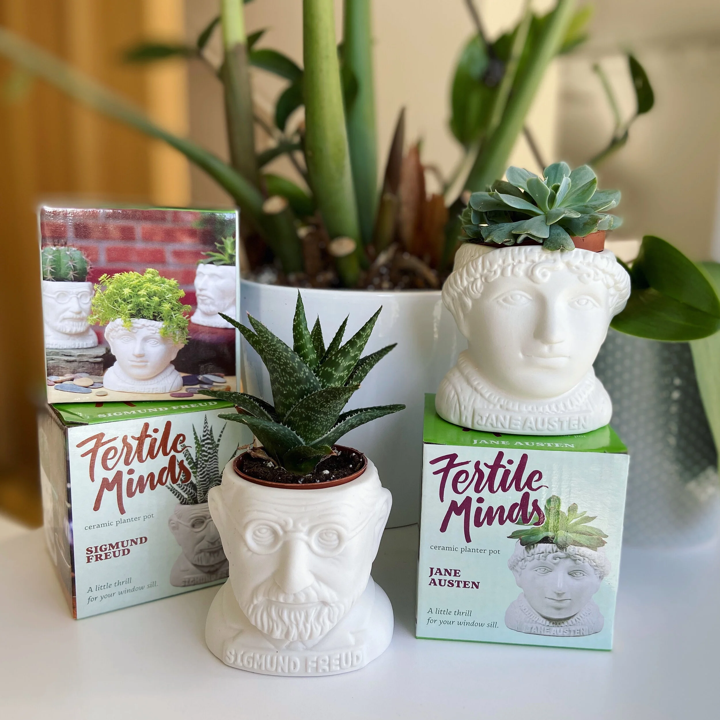 Unemployed Philosophers Guild Planters