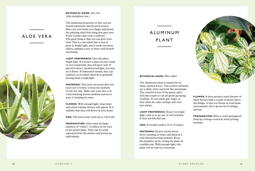 Houseplants (mini) A Guide to Choosing and Caring for Indoor Plants Lisa Eldred Steinkopf