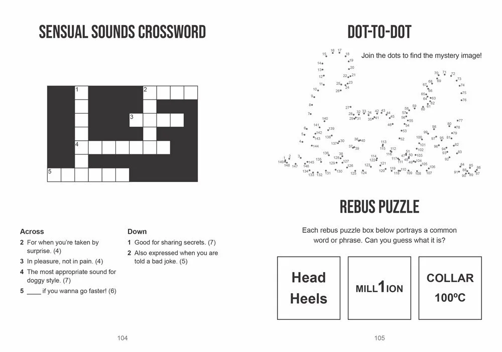 Rude Puzzle Book Summersdale — Manda Group