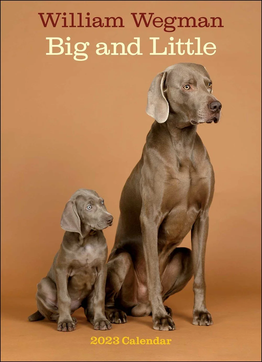 William Wegman Big and Little 2023 Wall Calendar Harry N Abrams Inc