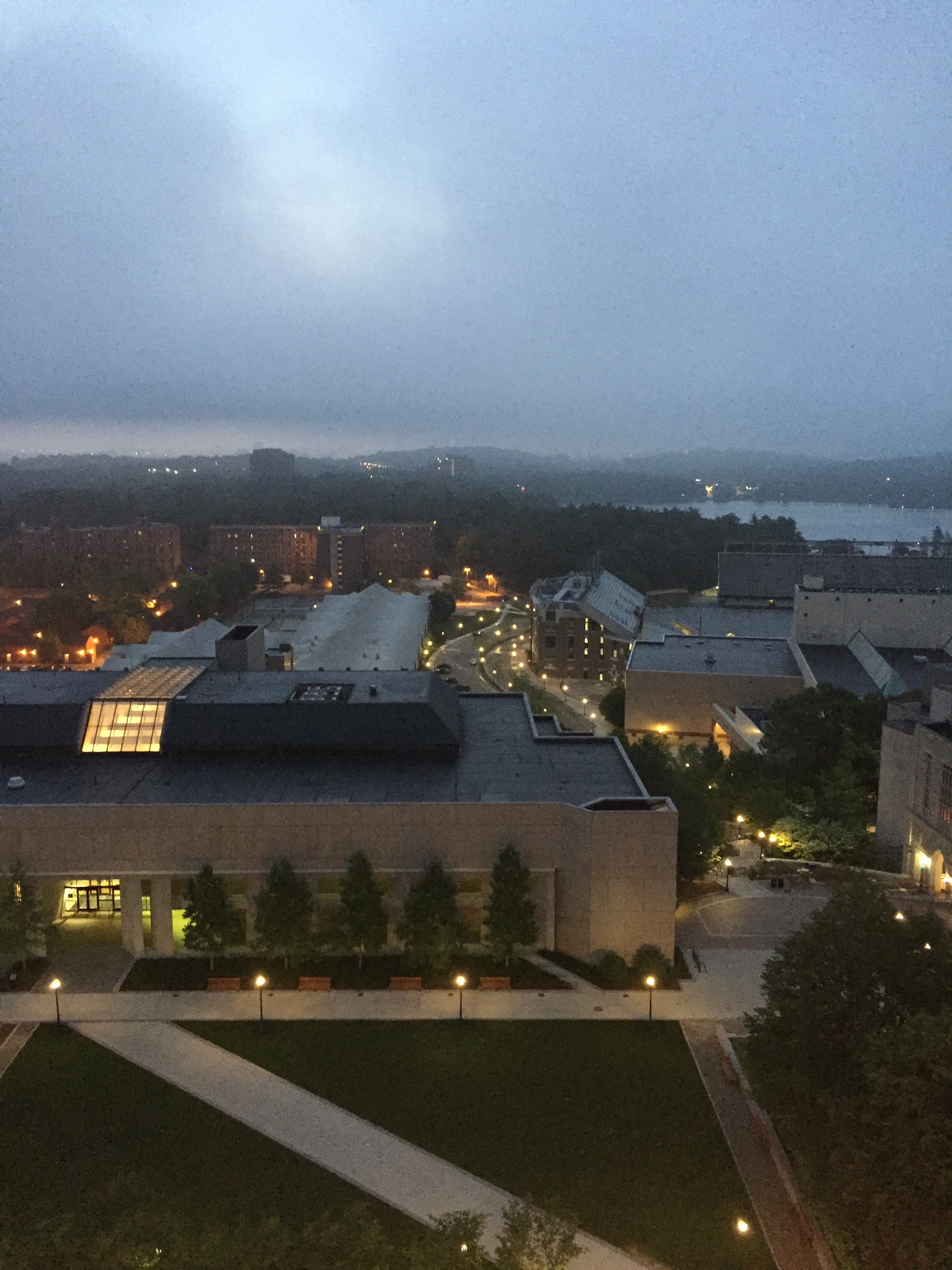 Surprise, surprise. Another misty, overcast morning. #cursed