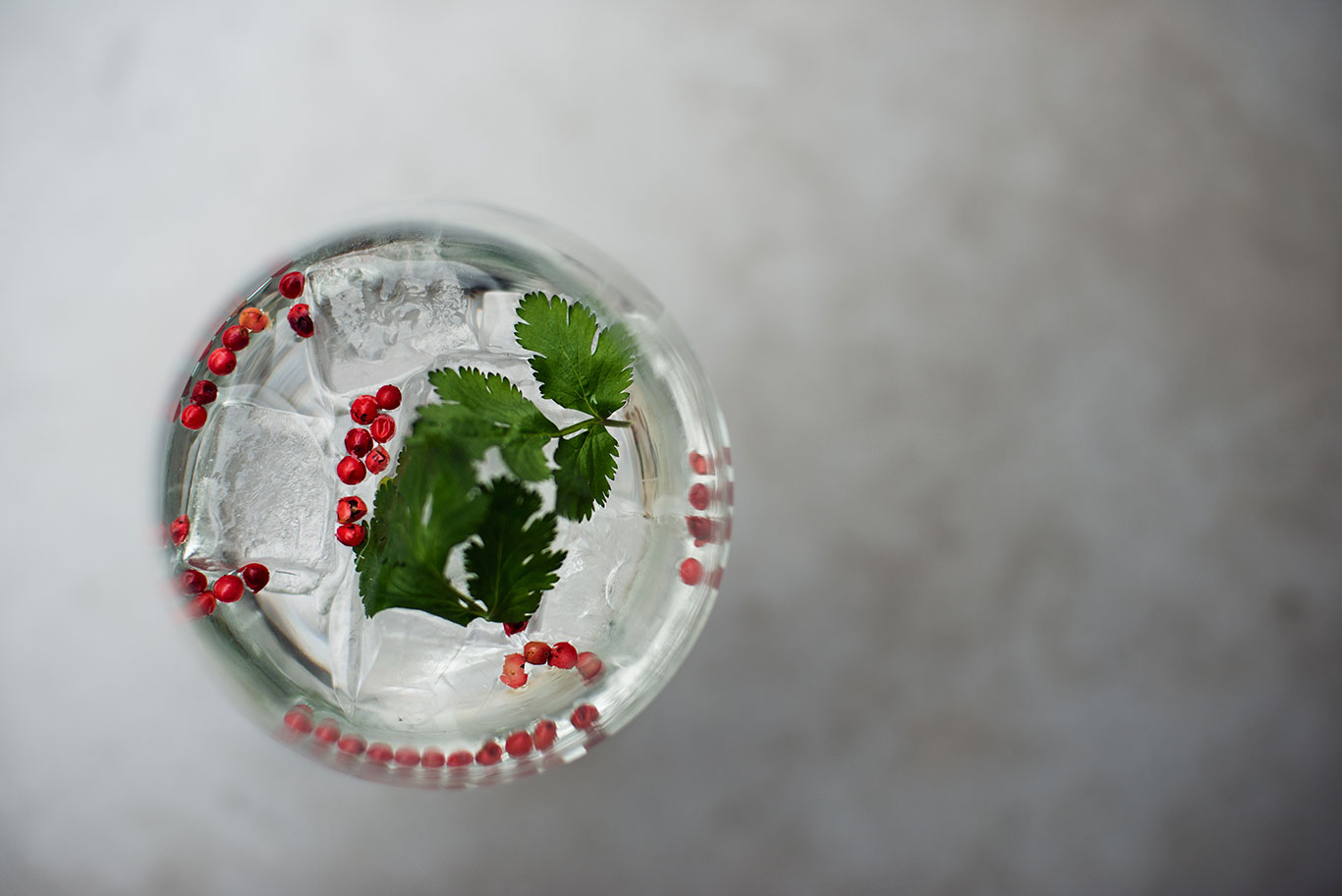gin_02.jpg